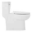 Brinstead One-Piece Elongated Skirted Toilet - Polished Nickel Handle, , large image number 3