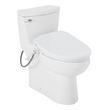 Brinstead One-Piece Elongated Skirted Toilet with Bidet - Polished Nickel Handle, , large image number 1