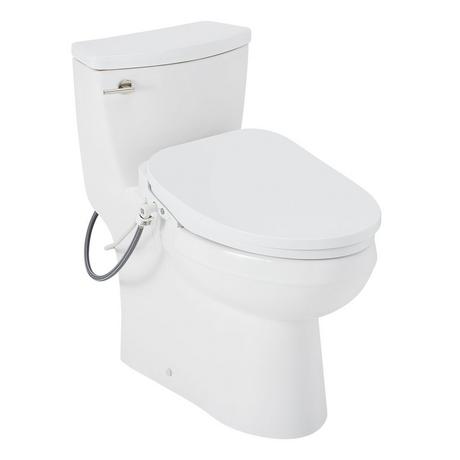 Brinstead One-Piece Elongated Skirted Toilet with Bidet - Polished Nickel Handle