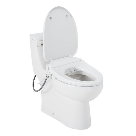 Brinstead One-Piece Elongated Skirted Toilet with Bidet - Polished Nickel Handle