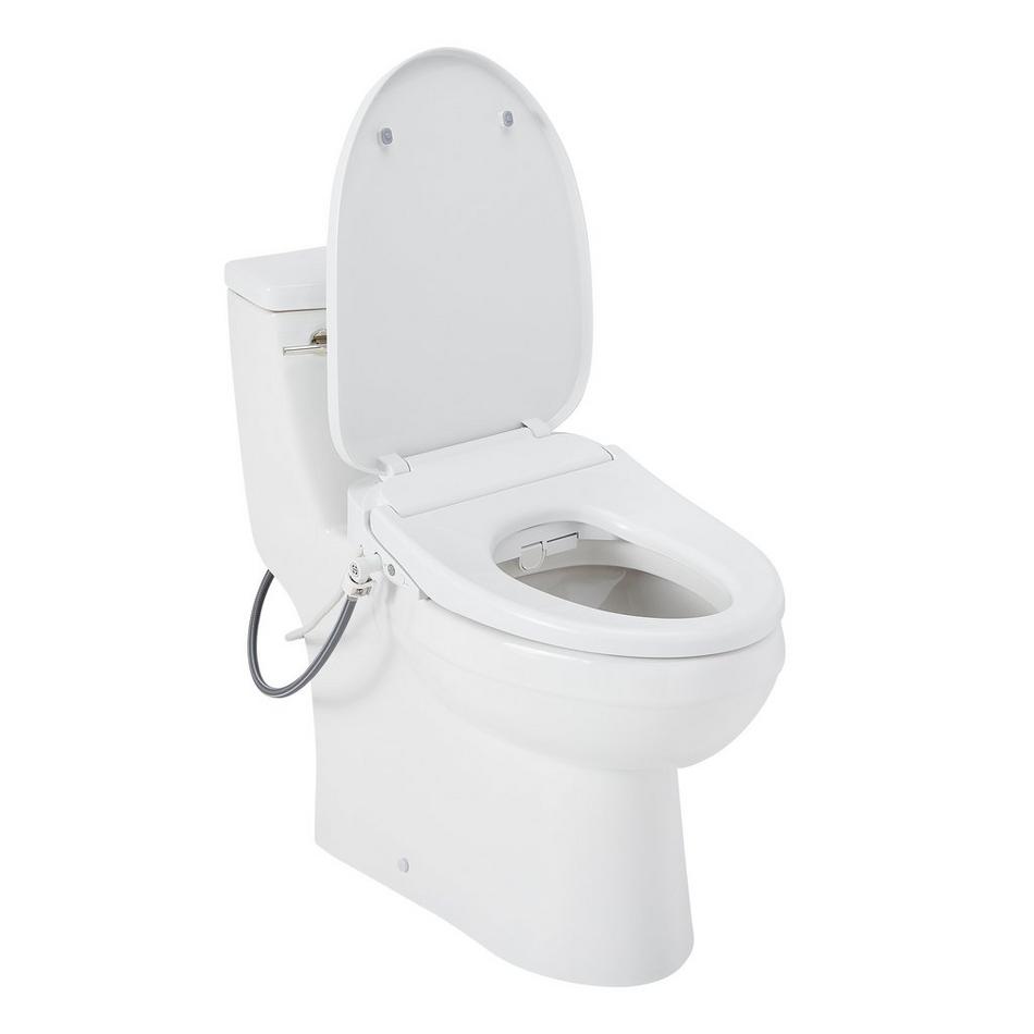 Brinstead One-Piece Elongated Skirted Toilet with Bidet - Polished Nickel Handle, , large image number 2