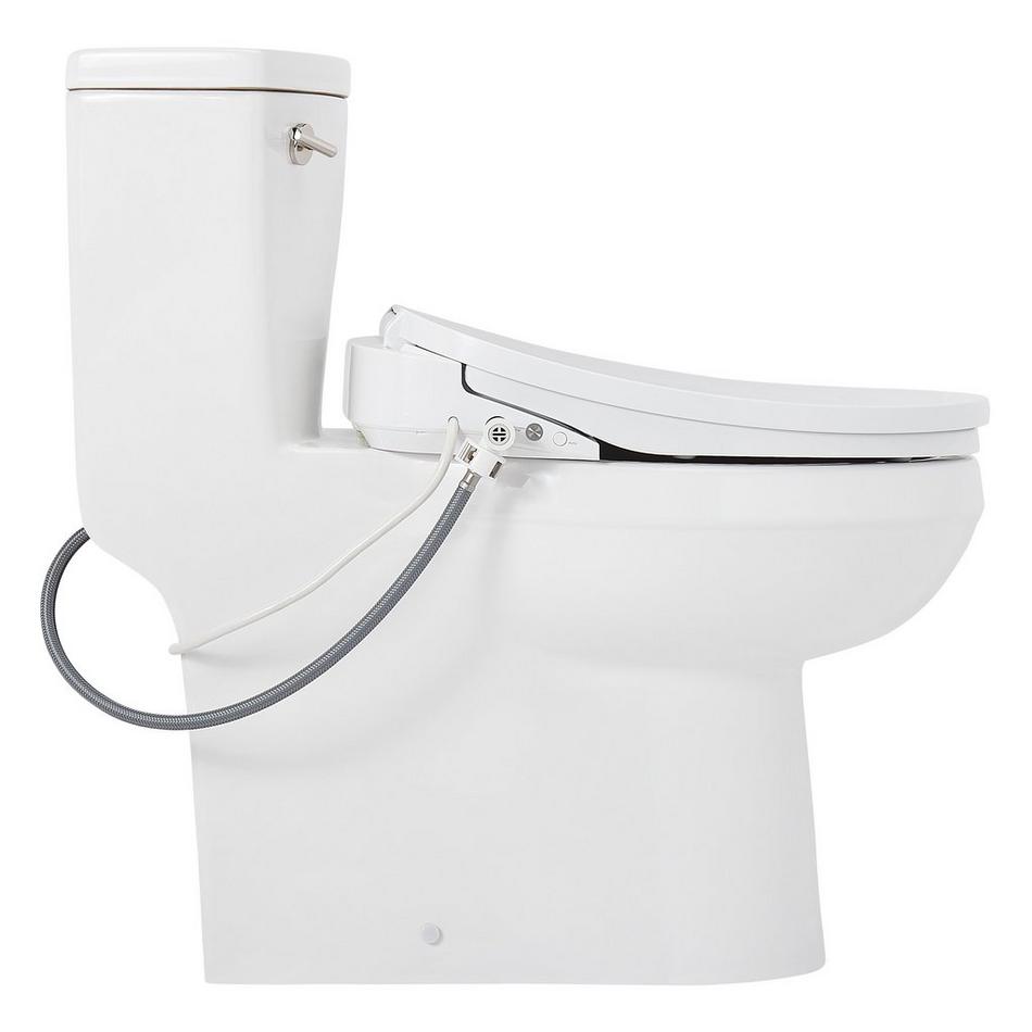 Brinstead One-Piece Elongated Skirted Toilet with Bidet - Polished Nickel Handle, , large image number 3