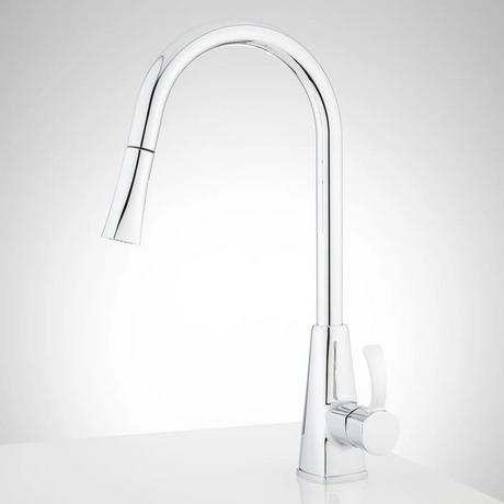 Rhine Single-Hole Pull-Down Kitchen Faucet