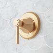 Elita In-Wall Shower Volume Control Handle and 1/2" Rough-In Valve - Lever Handle - Brushed Gold, , large image number 0