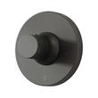 Lentz Thermostatic Shower Valve Trim - Less Handle - Matte Black, , large image number 0