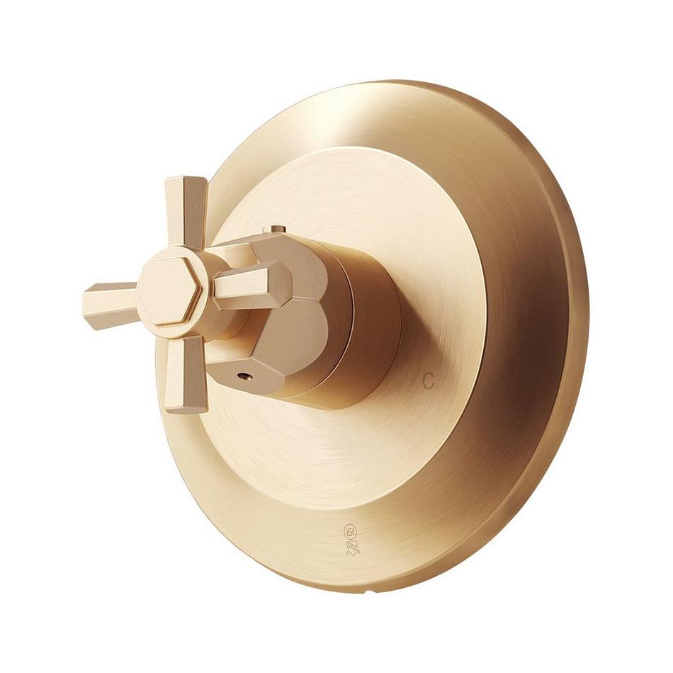 Elita Thermostatic Shower Valve Trim - Less Handle - Brushed Gold, , large image number 0