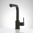 Castor Single-Hole Pull-Out Kitchen Faucet, , large image number 3