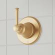 Beasley Pressure Balance Shower System with Slide Bar and Hand Shower - Brushed Gold, , large image number 2