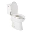 Lavrik Two-Piece Elongated Toilet with Reversible Tank - Standard Seat  - Brushed Nickel Handle, , large image number 2