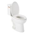 Lavrik Two-Piece Elongated Toilet with Reversible Tank - Standard Seat  - Brushed Gold Handle, , large image number 2