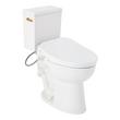 Lavrik Two-Piece Elongated Toilet with Reversible Tank - Bidet Seat  - Brushed Gold Handle, , large image number 0