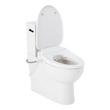 Lavrik Two-Piece Skirted Elongated Toilet with Reversible Tank - Bidet seat - Matte Black Handle, , large image number 2