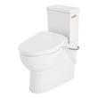 Lavrik Two-Piece Skirted Elongated Toilet with Reversible Tank - Bidet seat - Brushed Nickel Handle, , large image number 1