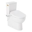 Lavrik Two-Piece Skirted Elongated Toilet with Reversible Tank - Bidet seat - Brushed Gold Handle, , large image number 0