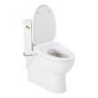 Lavrik Two-Piece Skirted Elongated Toilet with Reversible Tank - Bidet seat - Brushed Gold Handle, , large image number 2
