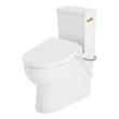 Lavrik Two-Piece Skirted Elongated Toilet with Reversible Tank - Bidet seat - Brushed Gold Handle, , large image number 1