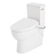 Lavrik Two-Piece Skirted Elongated Toilet with Reversible Tank - Bidet seat - Polished Nickel Handle, , large image number 1