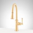 Beasley Single-Hole Pull-Down Kitchen Faucet - Brushed Gold, , large image number 0