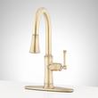 Beasley Single-Hole Pull-Down Kitchen Faucet with Deck Plate - Aged Brass, , large image number 0