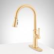 Beasley Single-Hole Pull-Down Kitchen Faucet with Deck Plate - Brushed Gold, , large image number 1