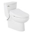 Brinstead One-Piece Elongated Skirted Toilet with Angelou Bidet Seat - Polished Nickel Handle, , large image number 0