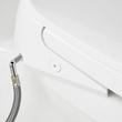 Brinstead One-Piece Elongated Skirted Toilet with Angelou Bidet Seat - Brushed Gold Handle, , large image number 5
