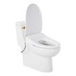 Brinstead One-Piece Elongated Skirted Toilet with Angelou Bidet Seat - Brushed Gold Handle, , large image number 1