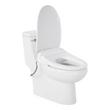 Brinstead One-Piece Elongated Skirted Toilet with Angelou Bidet Seat - Brushed Nickel Handle, , large image number 1