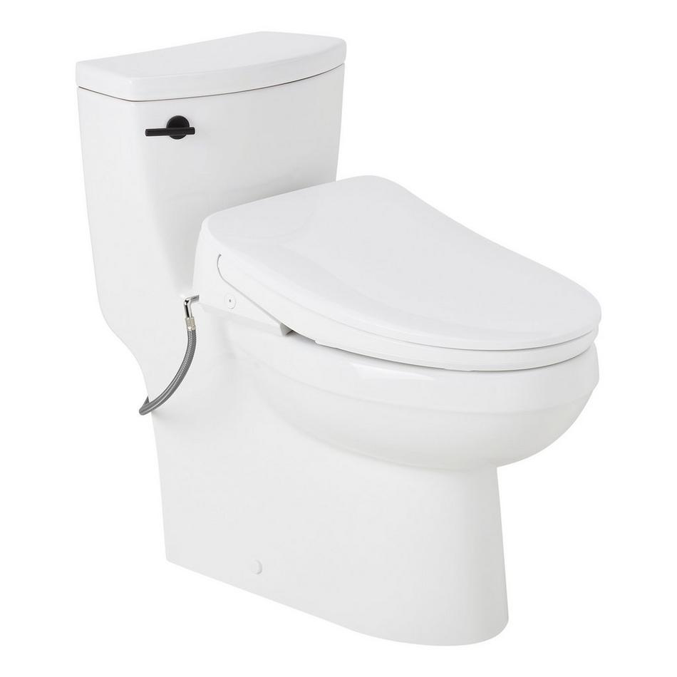 Brinstead One-Piece Elongated Skirted Toilet with Angelou Bidet Seat - Matte Black Handle, , large image number 0