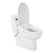 Brinstead One-Piece Elongated Skirted Toilet with Angelou Bidet Seat - Matte Black Handle, , large image number 1