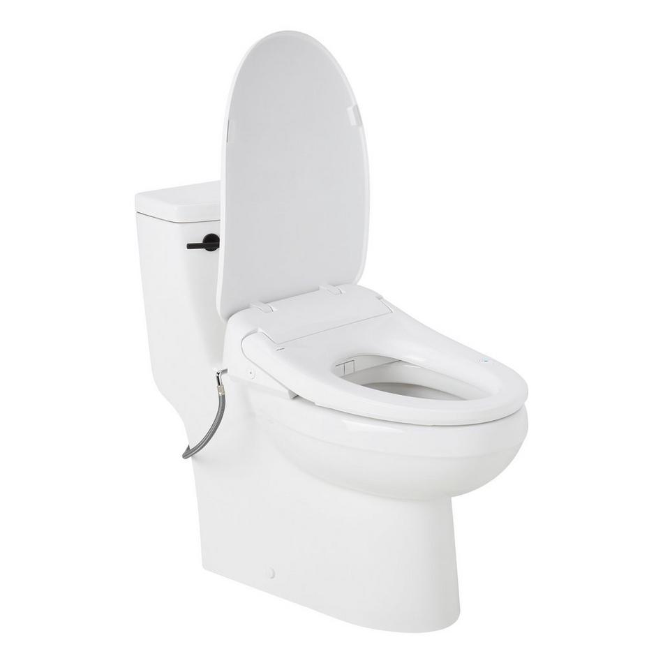 Brinstead One-Piece Elongated Skirted Toilet with Angelou Bidet Seat - Matte Black Handle, , large image number 1