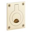 Evandrus Brass Recessed Pocket Door Ring Pull, , large image number 0