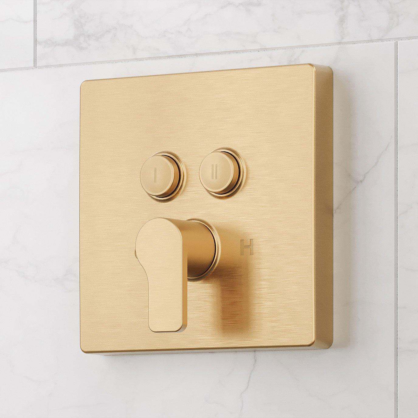 Hibiscus Simple Select 2-Way Pressure Balance Shower Valve