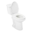 Bradenton Two-Piece Elongated Toilet with 10" Rough-In - 19" Bowl Height - Polished Nickel Handle, , large image number 2