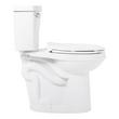 Bradenton Two-Piece Elongated Toilet with 10" Rough-In - 19" Bowl Height - Polished Nickel Handle, , large image number 3