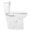 Bradenton Two-Piece Elongated Toilet with 14" Rough-In - 19" Bowl Height - Matte Black Handle, , large image number 3