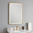 24" Faysel Rectangular Lighted Mirror - Brushed Gold, , large image number 1