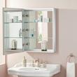Portia Medicine Cabinet, , large image number 5