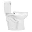 Bradenton Two-Piece Elongated Toilet - 10" Rough-In - 19" Bowl Height - Left Hand - Less Seat, , large image number 2