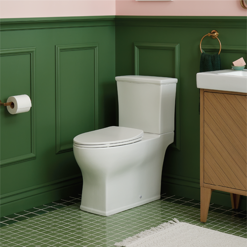 Carraway One-Piece Elongated Toilet