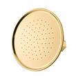 Windom Watering Can Shower Head - Polished Brass, , large image number 0