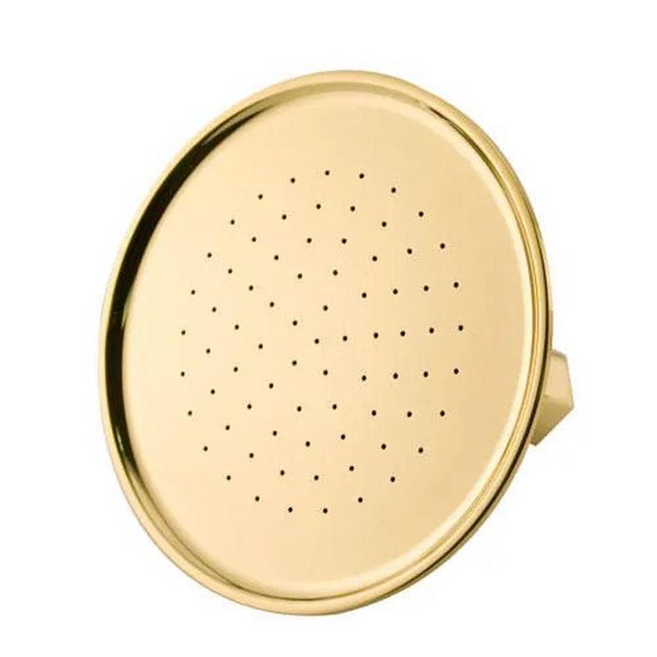 Windom Watering Can Shower Head - Polished Brass, , large image number 0