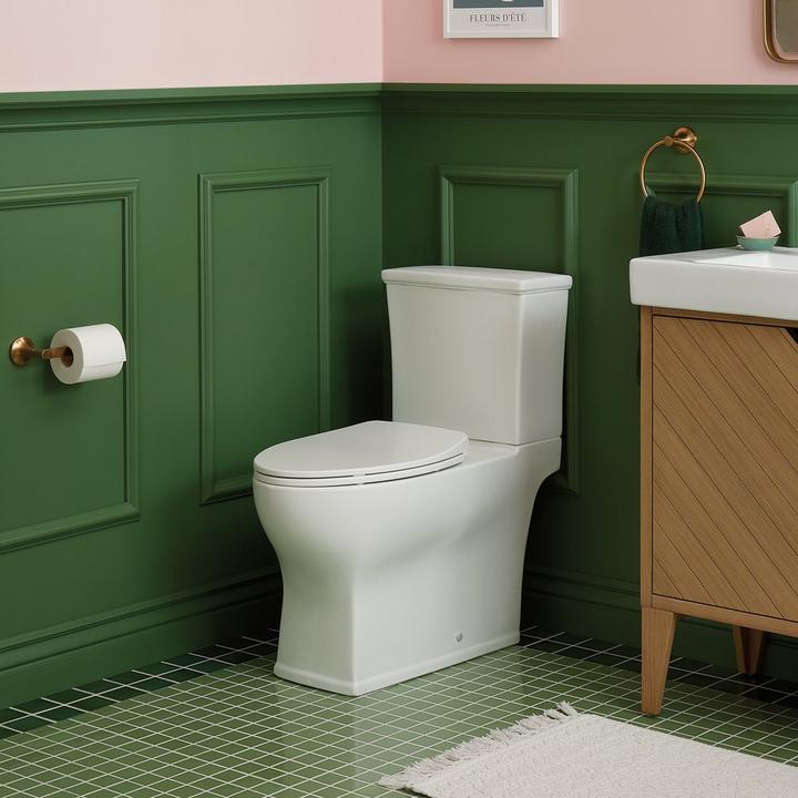 Toilet Buying Guide