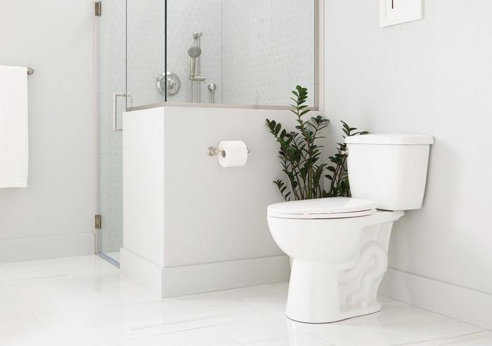 ADA compliant bathroom with Pendleton Pressure Balance Shower Set & Toilet Paper Holder in Chrome, & Nedel ADA Compliant Toilet