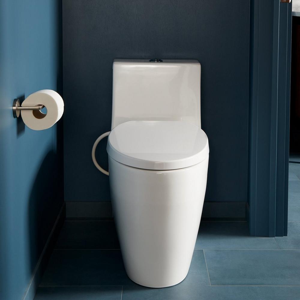 Sitka One-Piece Elongated Skirted Toilet with Aldridge Bidet Seat - White