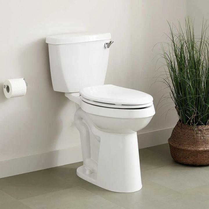 Toilet Buying Guide