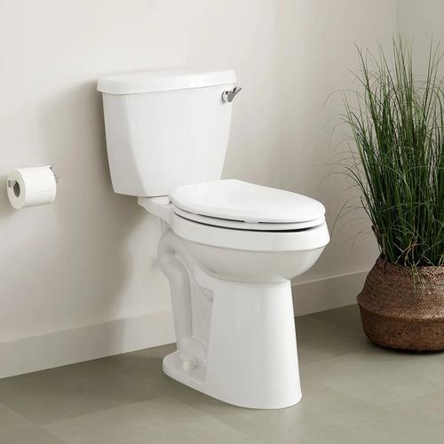19" elongated toilet