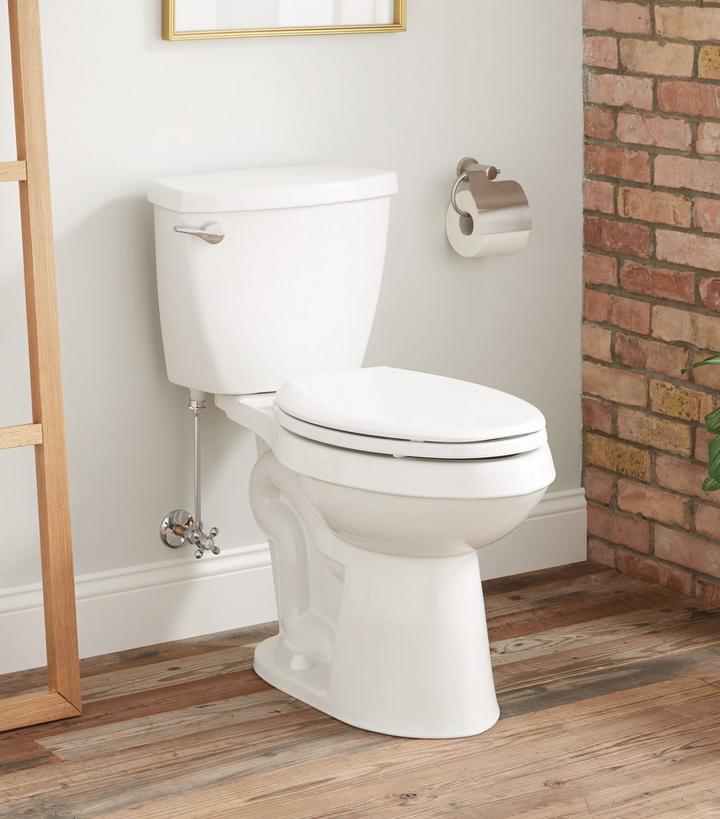 bathroom with porcelain toilet