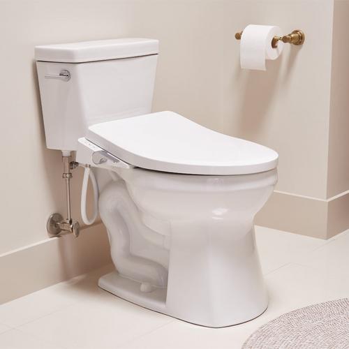 elongated toilet with bidet seat