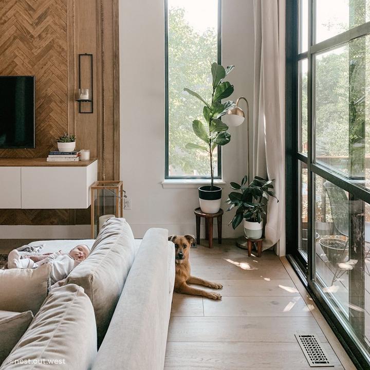 Living room of Cait Pappas featuring the Honeycomb Brass Floor Register in Antique Brass